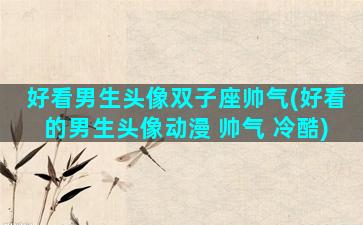 好看男生头像双子座帅气(好看的男生头像动漫 帅气 冷酷)